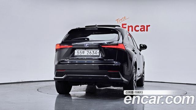 Lexus NX300h Supreme 2018 — фото 4