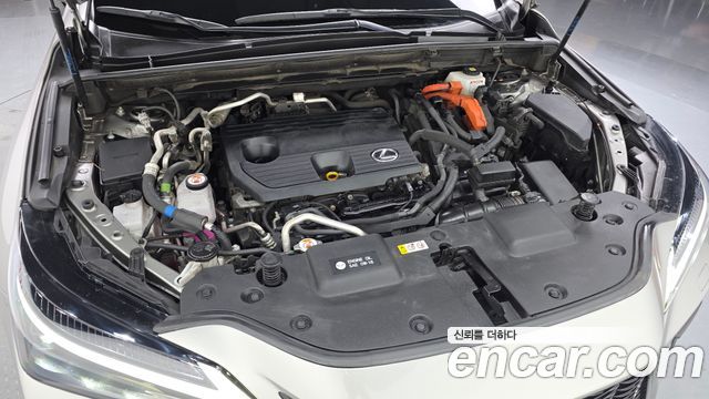 Lexus NX450h+ (II) F-Sport 2025 — фото 6