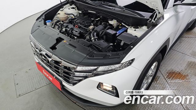 Hyundai Tucson (NX4) Gasoline 1.6 Turbo 2WD Modern 2023 — фото 6