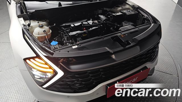 Kia Sportage (V) Gasoline 1.6 Turbo 2WD Signature 2024 — фото 6