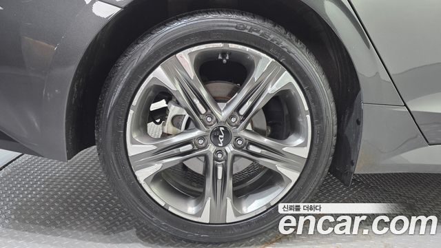 Kia K5 (III) 2.0 Noblesse 2023 — фото 5