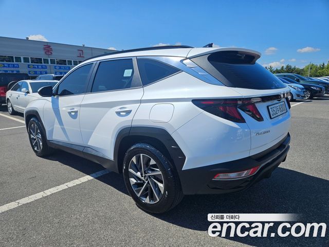 Hyundai Tucson (NX4) Diesel 2.0 4WD Premium 2021 — фото 2