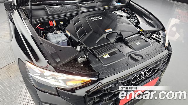 Audi Q8 (4M) 55 TFSI Quattro Premium 2025 — фото 6