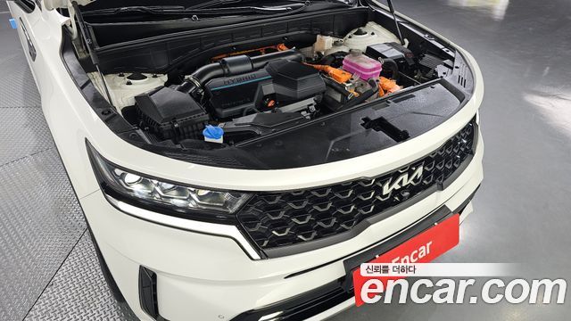 Kia Sorento (IV) HEV 1.6 2WD Gravity 2022 — фото 6