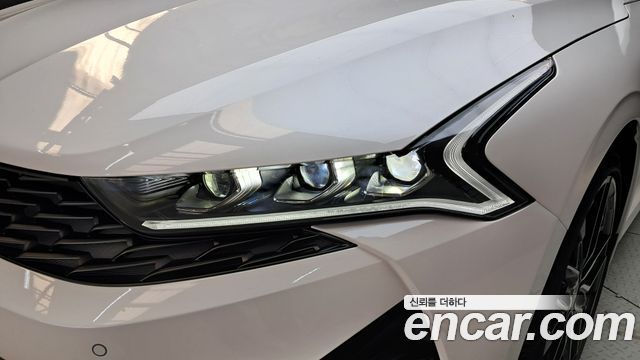 Kia K5 (III) 1.6 Turbo Noblesse 2023 — фото 22
