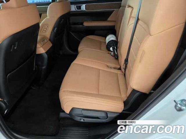 Hyundai Santa Fe (MX5) HEV 1.6 2WD Calligraphy 2024 — фото 20