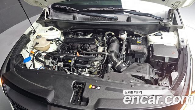 Kia Sportage (V) Gasoline 1.6 Turbo 2WD Signature 2024 — фото 6