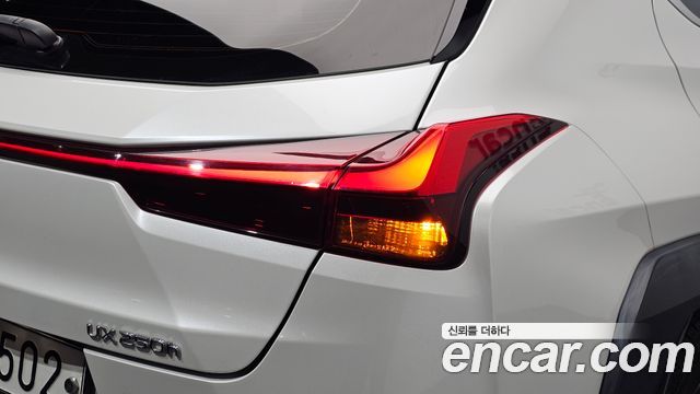 Lexus UX250h 2.0 2WD 2019 — фото 23