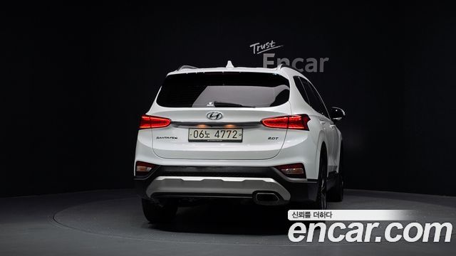 Hyundai Santa Fe (TM) Gasoline 2.0T 2WD Exclusive Special 2019 — фото 4