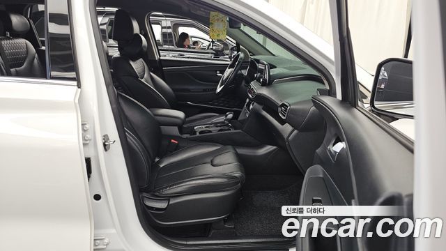 Hyundai Santa Fe (TM) Gasoline 2.0T 2WD Exclusive Special 2019 — фото 11