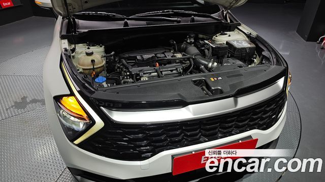 Kia Sportage (V) Gasoline 1.6 Turbo 2WD Prestige 2022 — фото 6