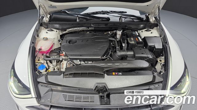 Hyundai Sonata (DN8) 2.0 LPG(rental car) Premium 2023 — фото 6
