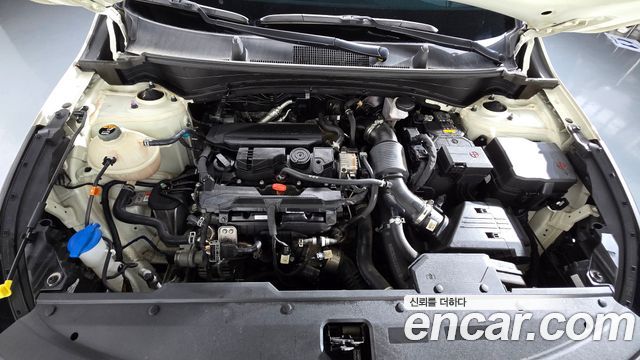 Kia Sportage (V) Gasoline 1.6 Turbo 2WD Signature 2023 — фото 6