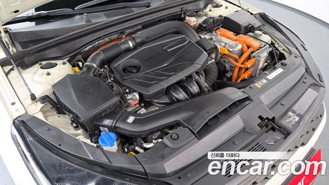Kia K5 Hybrid (III) Trendy 2020 — фото 6