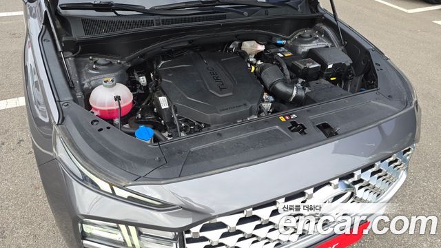 Hyundai Santa Fe Diesel 2.2 2WD Premium Choice 2021 — фото 6