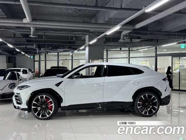 Lamborghini Urus 4.0 V8 2021 — фото 2