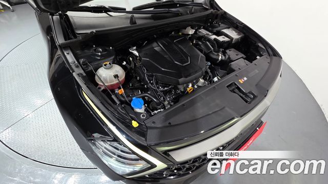 Kia Sportage (V) Diesel 2.0 2WD Signature Gravity 2023 — фото 6