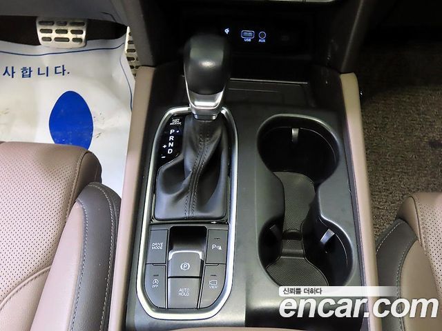 Hyundai Santa Fe (TM) Diesel 2.2 2WD Prestige 2020 — фото 16