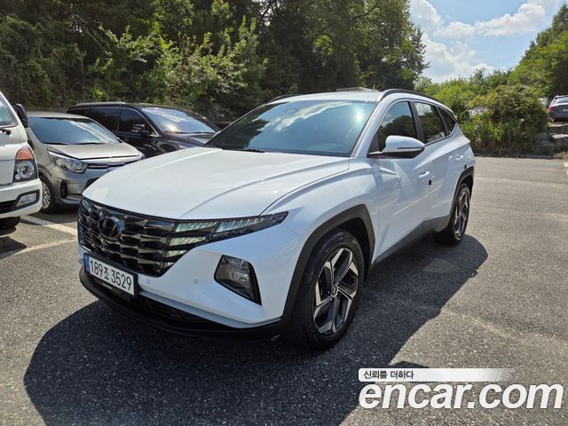 Hyundai Tucson (NX4) Diesel 2.0 2WD Premium