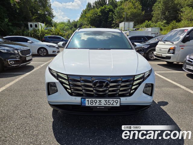 Hyundai Tucson (NX4) Diesel 2.0 2WD Premium 2023 — фото 2