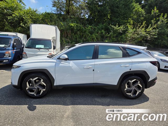 Hyundai Tucson (NX4) Diesel 2.0 2WD Premium 2023 — фото 3