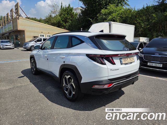 Hyundai Tucson (NX4) Diesel 2.0 2WD Premium 2023 — фото 4