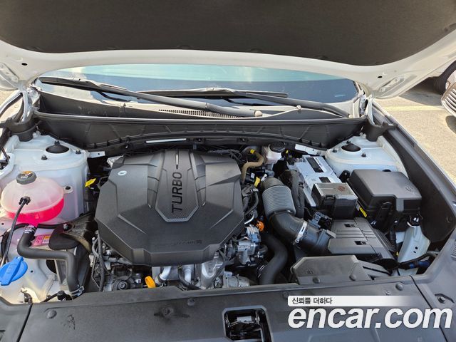 Hyundai Tucson (NX4) Diesel 2.0 2WD Premium 2023 — фото 6