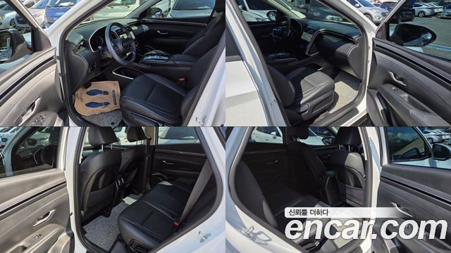 Hyundai Tucson (NX4) Diesel 2.0 2WD Premium 2023 — фото 10