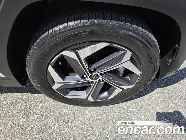 Hyundai Tucson (NX4) Diesel 2.0 2WD Premium 2023 — фото 21