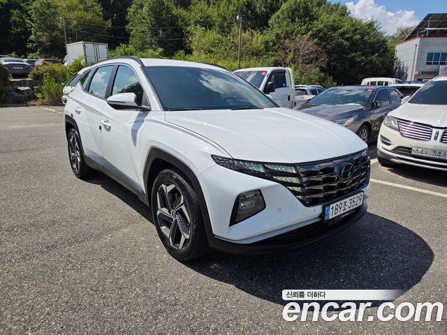 Hyundai Tucson (NX4) Diesel 2.0 2WD Premium 2023 — фото 24