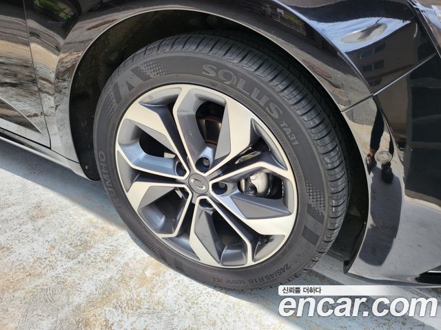Renault Korea SM6 2.0 LPe RE (Disabled) 2019 — фото 5