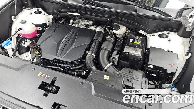 Hyundai Santa Fe (MX5) Gasoline 2.5T 4WD Calligraphy 2024 — фото 6