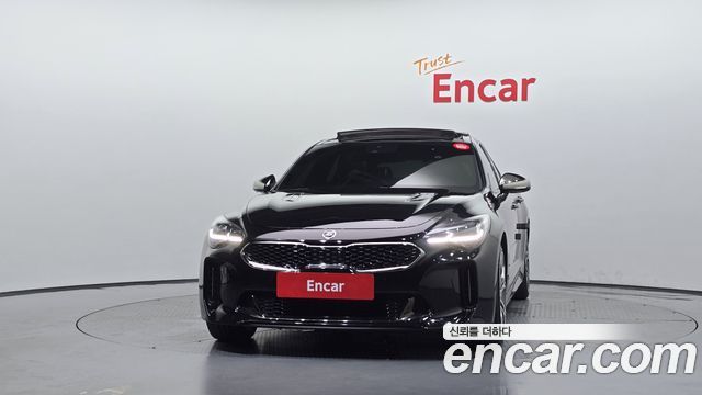 Kia Stinger 2.0 Turbo AWD Platinum 2019 — фото 3