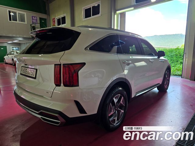 Kia Sorento (IV) HEV 1.6 4WD Prestige 2023 — фото 2