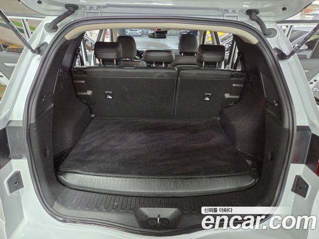 Renault Korea QM6 2.0 LPe LE 2WD 2020 — фото 19