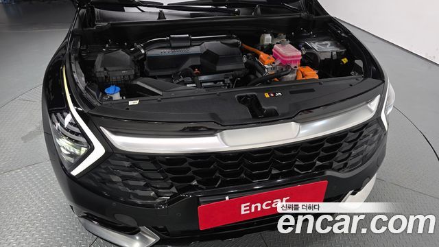 Kia Sportage Hybrid (V) Signature 2WD 2023 — фото 6
