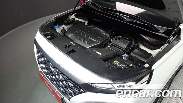 Hyundai Santa Fe (TM) Diesel 2.0 2WD Exclusive 2020 — фото 6