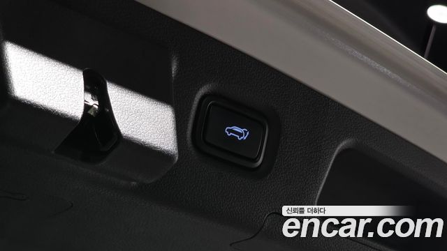 Hyundai Santa Fe (TM) Diesel 2.0 2WD Exclusive 2020 — фото 20