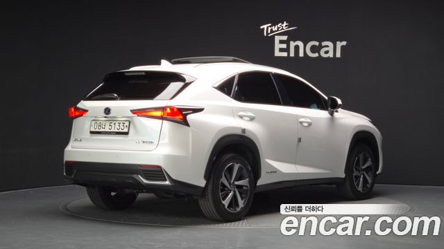 Lexus NX300h Supreme 2018 — фото 2