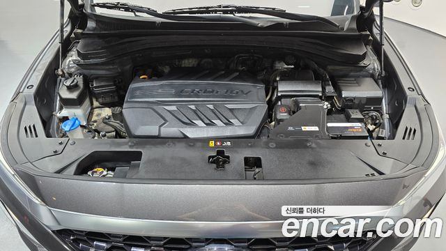 Hyundai Santa Fe (TM) Diesel 2.0 2WD Premium 2020 — фото 6