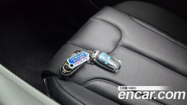 Hyundai Palisade Diesel 2.2 2WD Exclusive 2023 — фото 15