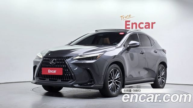 Lexus NX350h (II) Luxury