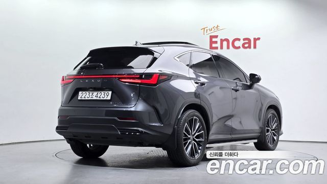 Lexus NX350h (II) Luxury 2024 — фото 2