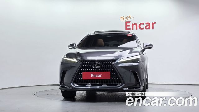 Lexus NX350h (II) Luxury 2024 — фото 3