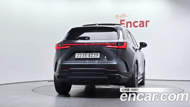 Lexus NX350h (II) Luxury 2024 — фото 4