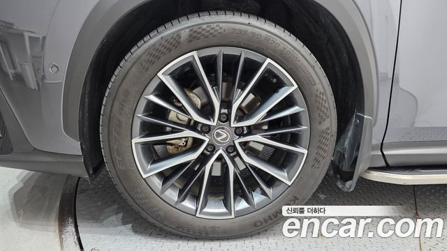 Lexus NX350h (II) Luxury 2024 — фото 5