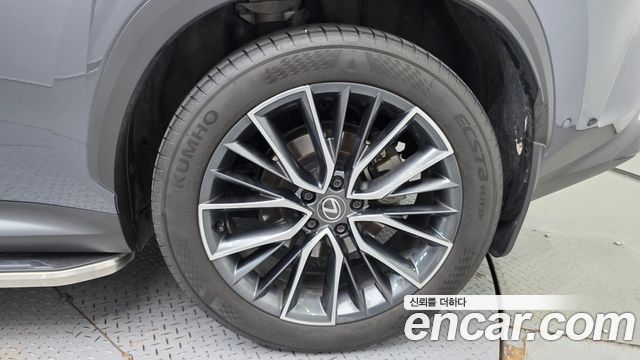 Lexus NX350h (II) Luxury 2024 — фото 21
