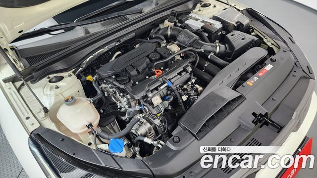 Kia K5 (III) 1.6 Turbo Noblesse 2021 — фото 6
