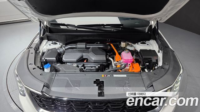 Kia Sorento (IV) HEV 1.6 2WD Noblesse 2026 — фото 6