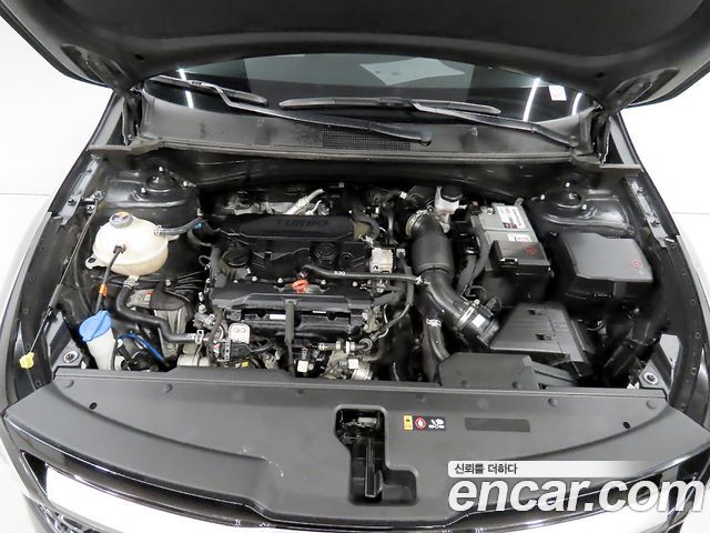 Kia Sportage (V) Gasoline 1.6 Turbo 2WD Signature Gravity 2022 — фото 6